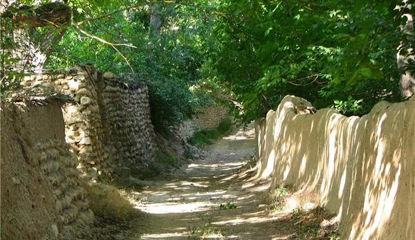 عکس از طبیعت روستایی