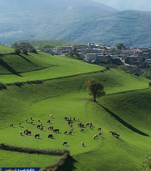 عکس از طبیعت روستایی