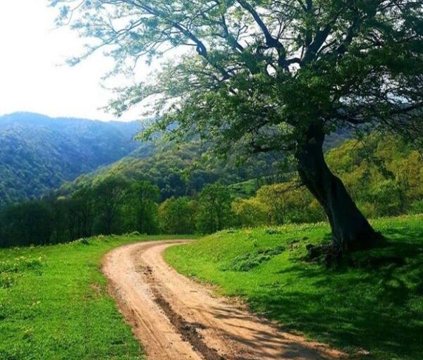 عکس زیبا از طبیعت صبحگاهی
