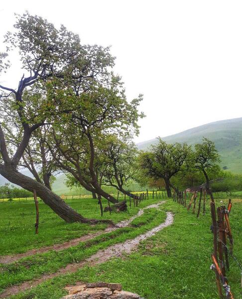 عکس های بهاری روستا