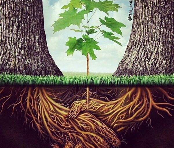 عکس پروفایل مفهومی طبیعت