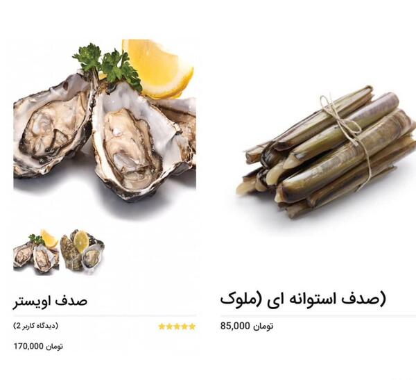 عکس صدف خوراکی