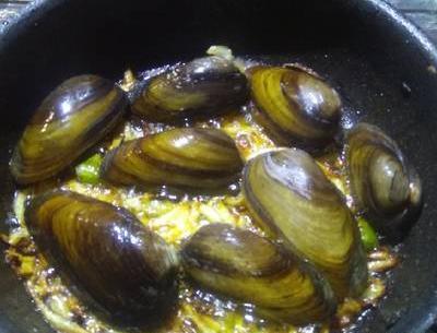 عکس صدف خوراکی