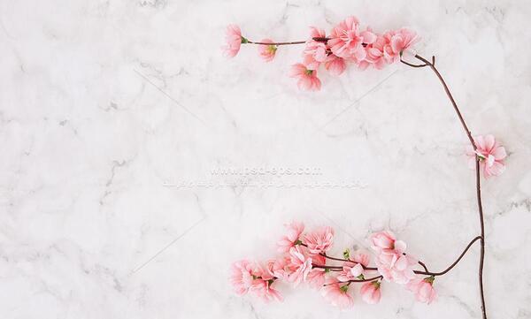 عکس صفحه سفید برای پروفایل