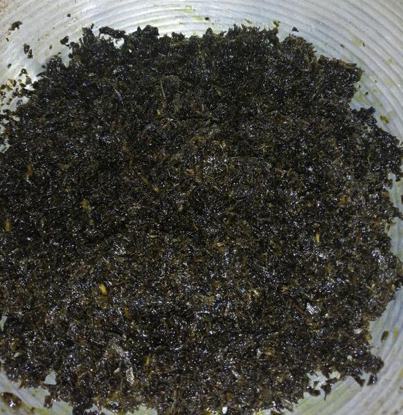 عکس قورمه سبزی سوخته