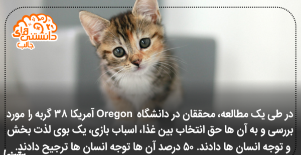 عکس های جالب دانستنی