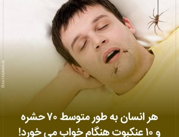 عکس های جالب دانستنی