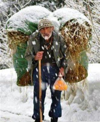 عکس نوشته پدر کارگر