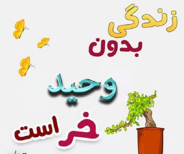 عکس نوشته زندگی بدون حمید