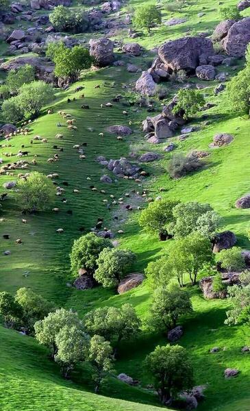عکس طبیعت زیبای آمریکا