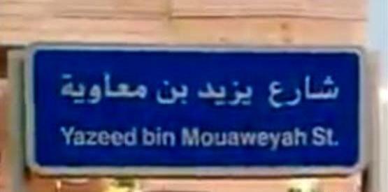 عکس پیری یزید