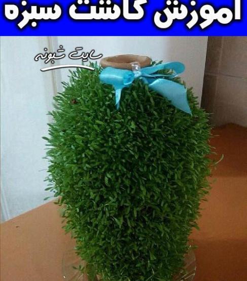 عکس سبزه عید دور کوزه