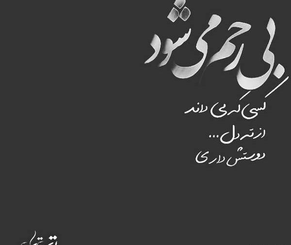 عکس نوشته طوطی صفتی