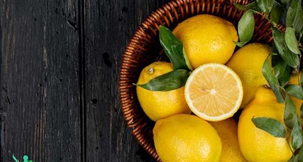 عکس نوشته خواص لیمو شیرین