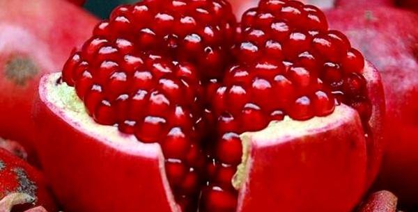 عکس یلدا