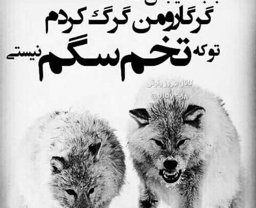 عکس لاتی زیرنویس