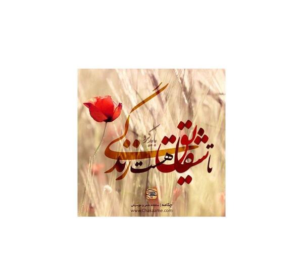 عکس تا شقایق هست زندگی باید کرد