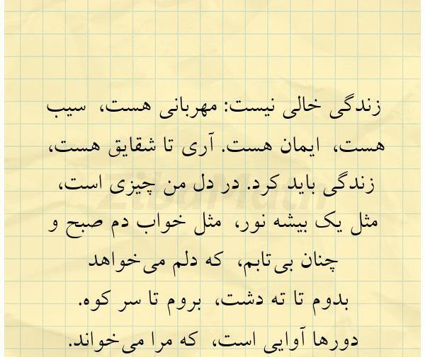 عکس تا شقایق هست زندگی باید کرد