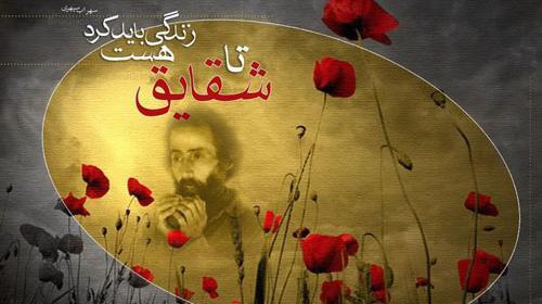 عکس تا شقایق هست زندگی باید کرد