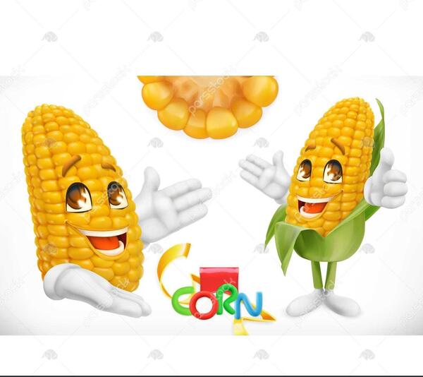 عکس ذرت برای نقاشی