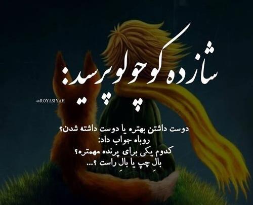عکس جالب شازده کوچولو