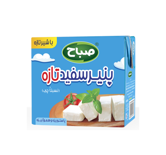 عکس گاو لبنیات صباح