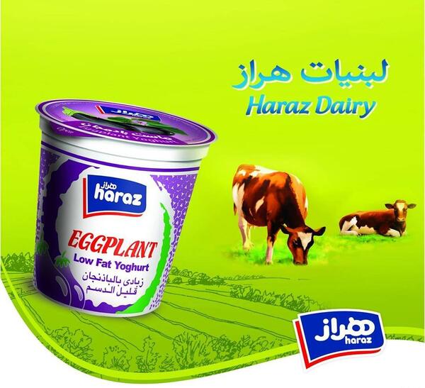 عکس گاو لبنیات صباح