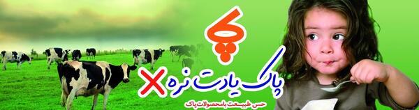 عکس گاو لبنیات صباح
