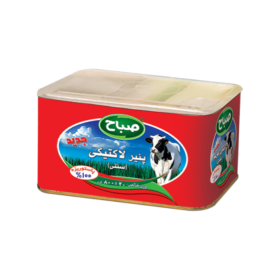 عکس گاو لبنیات صباح