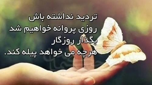 عکس نوشته پروانه شدن