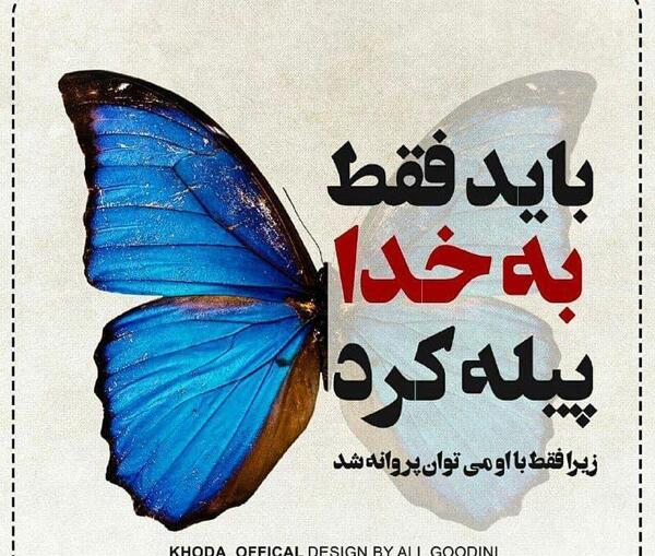 عکس نوشته پروانه شدن