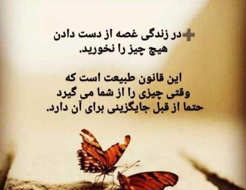 عکس نوشته پروانه شدن
