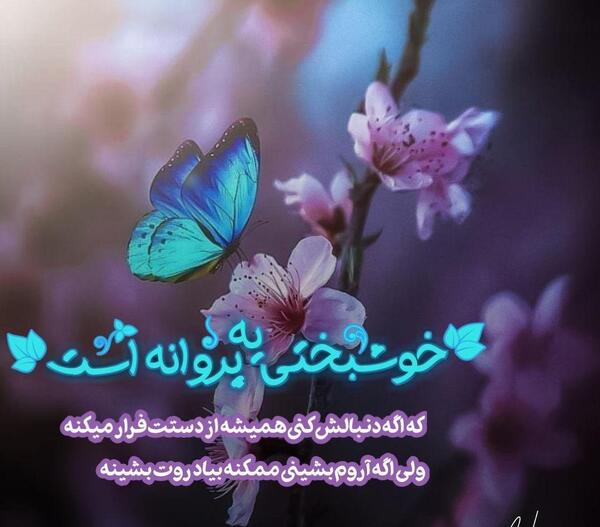 عکس نوشته پروانه شدن