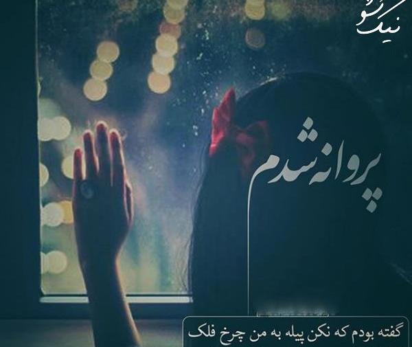 عکس نوشته پروانه شدن