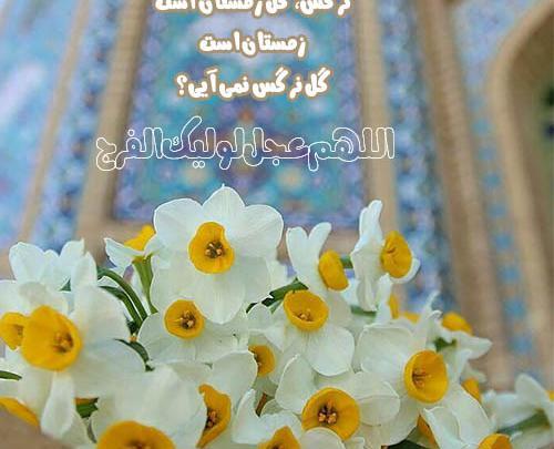 عکس گل نرگس نوشته