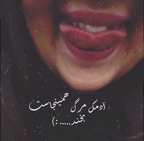 عکس فیک چال گونه