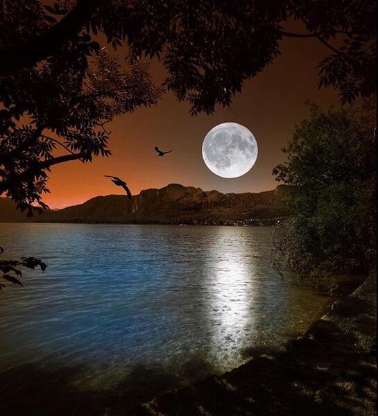 عکس زیبا شب