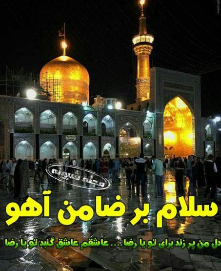 عکس ضامن آهو رضا