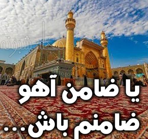 عکس ضامن آهو رضا