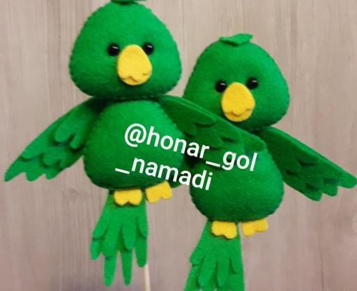 عکس طوطی نمدی