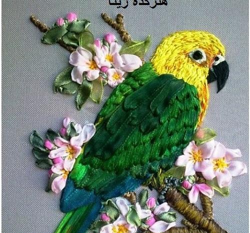عکس طوطی نمدی