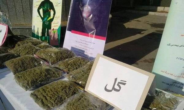 عکس گل شادونه