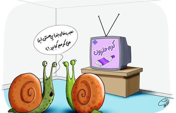 عکس حلزون سفید