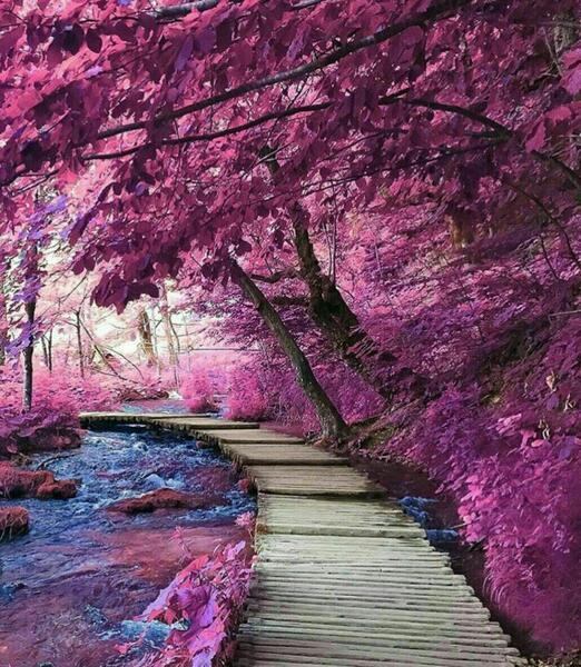 عکس خدا در طبیعت