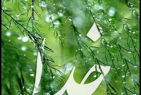 عکس خدا در طبیعت