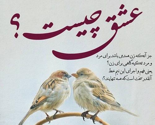 عکس نوشته گنجشک زیر باران