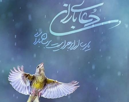 عکس نوشته گنجشک زیر باران
