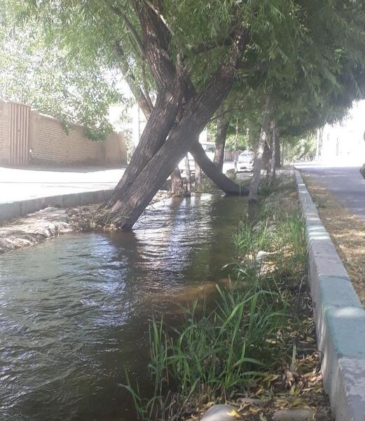 عکس از طبیعت گلپایگان