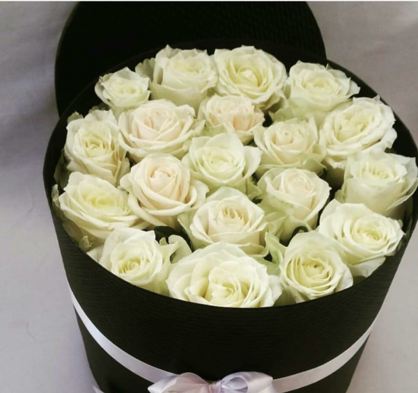 عکس گل رز کرمی