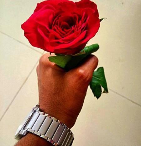 عکس گل رز عاشقانه